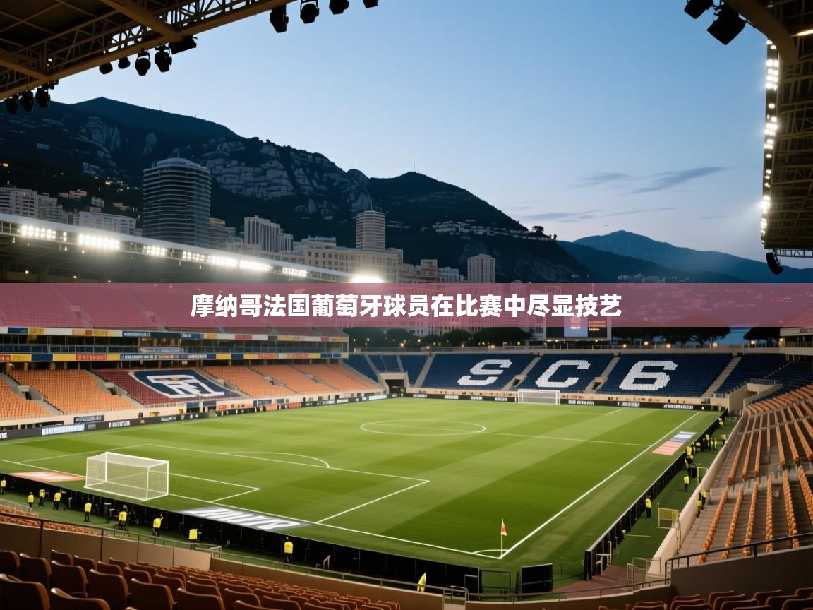 摩纳哥法国葡萄牙球员在比赛中尽显技艺  第2张