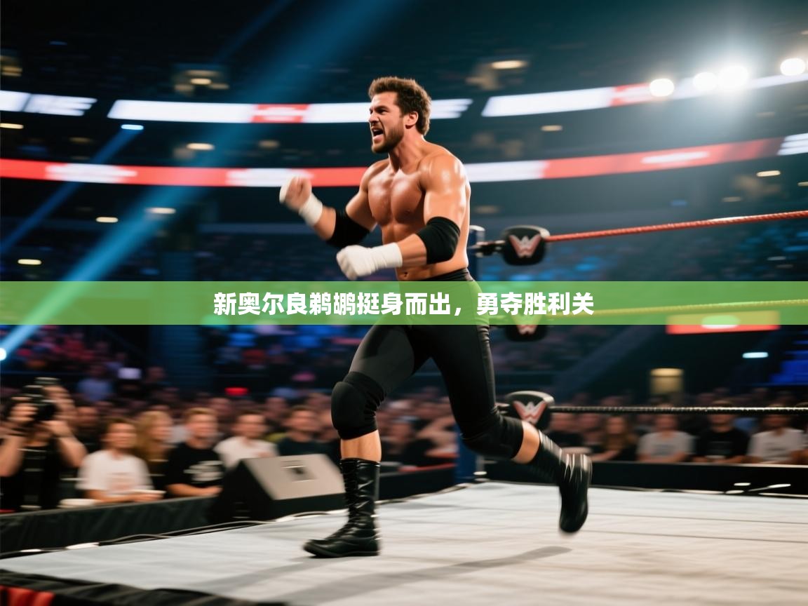 新奥尔良鹈鹕挺身而出,勇夺胜利关 第2张