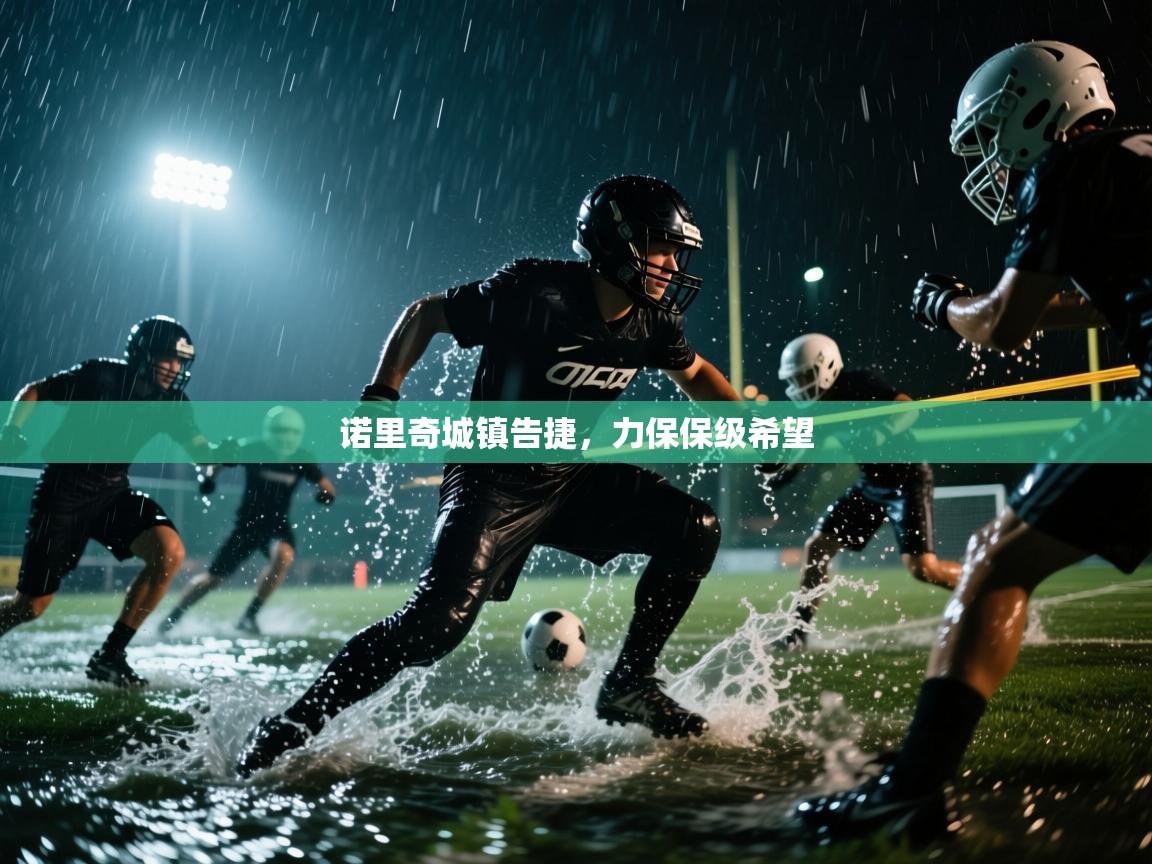 诺里奇城镇告捷,力保保级希望 第1张