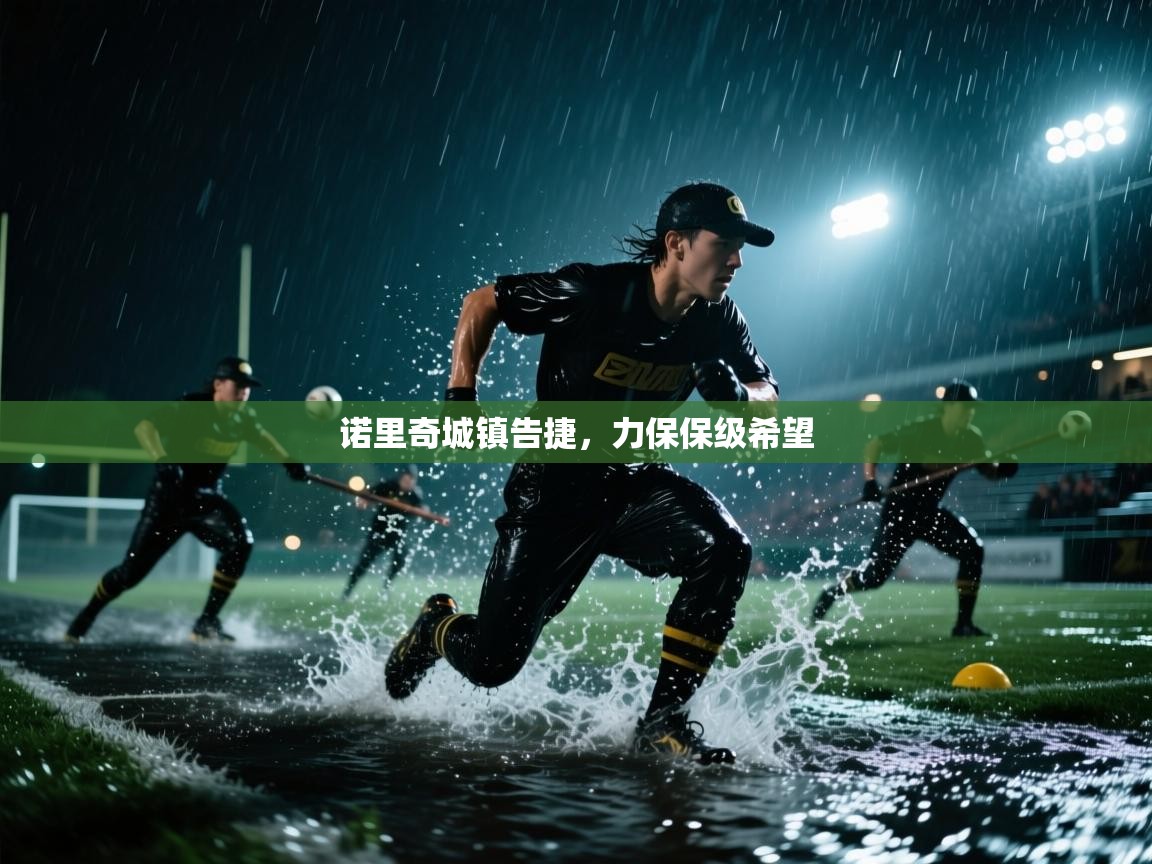 诺里奇城镇告捷,力保保级希望 第2张